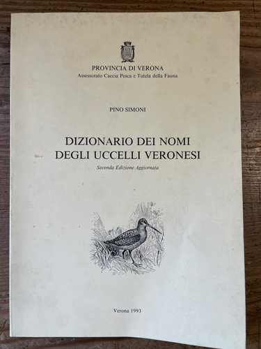 Pino simoni dizionario - pino, dei