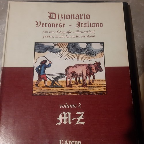 Dizionario veronese italiano - dizionario,
